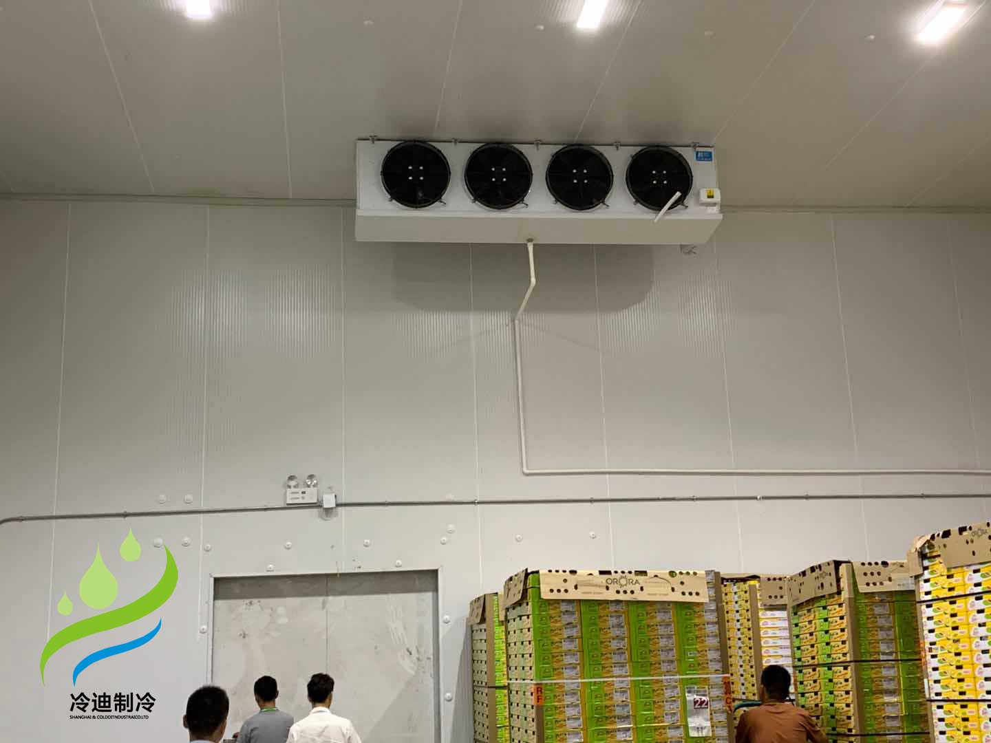 建造100平方棗子保鮮冷庫造價多少錢？