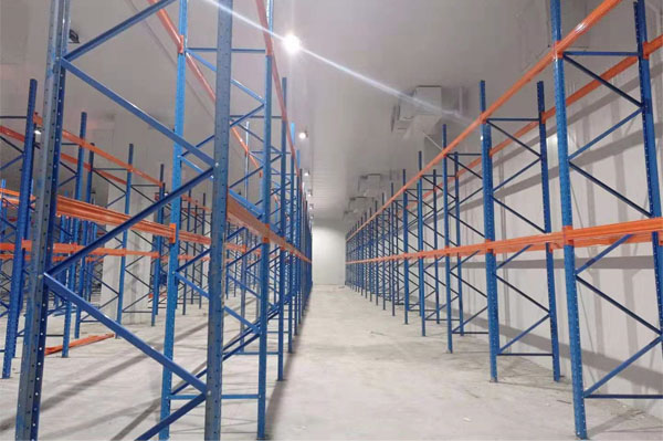 建造一個櫻桃保鮮冷庫多少錢？(圖2)