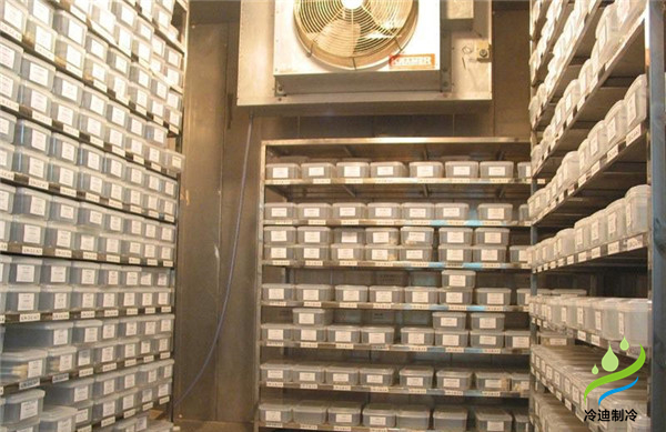 安裝一個(gè)小型種子冷庫(kù)大概要多少錢？